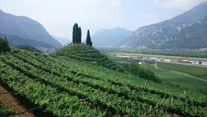 トレンティーノ地方の山に囲まれた葡萄畑
