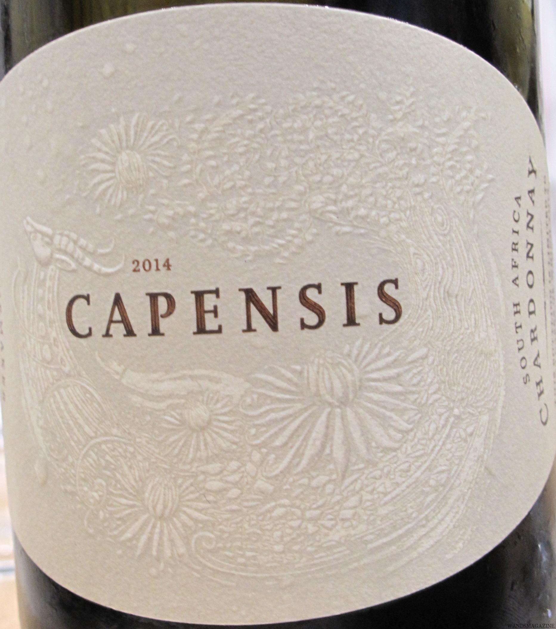 ジャクソン・ファミリーが興した南アフリカの新星ワイナリーCAPENSIS